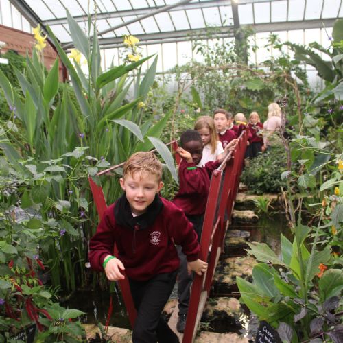Y4 Butterfly House Trip